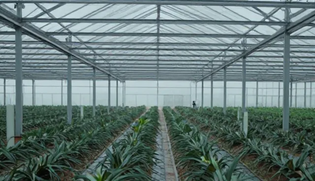 活动策划：影视制作性能与适用条件分析